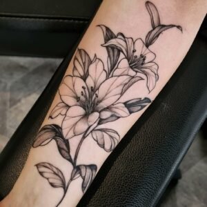 floral - fineline4