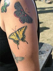 Butterfly Tattoos: 50 Designs & Meaning